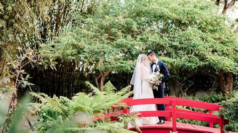 Miami Beach Botanical Garden Wedding Cost | Fasci Garden