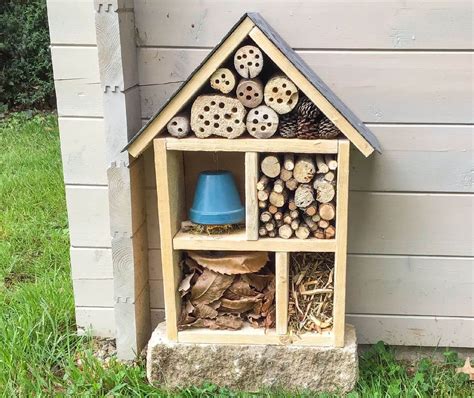 Découvrez comment réaliser un hôtel à insectes facilement en 6 étapes ...