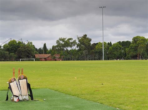 Cricket Pitch in park stock photo. Image of calm, park - 15275800