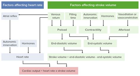 Cardiac Mechanics | Concise Medical Knowledge