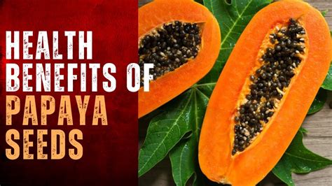 Health Benefits of Papaya Seeds | Herbal Goodness | 2021 - Herbal Plant ...