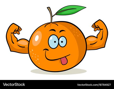 Cartoon orange Royalty Free Vector Image - VectorStock