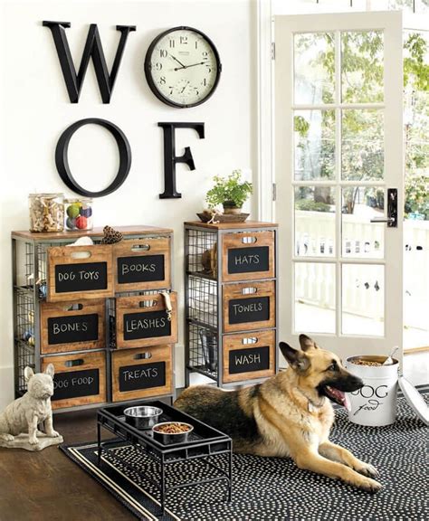 How To Create A Luxury Dog Room [Expert Advice] | Wallsauce AE