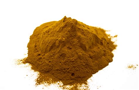 Chaga Mushroom Extract Powder – 100g - Lone Star Botanicals