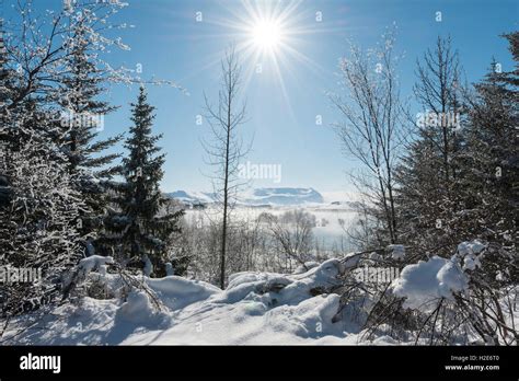 View of Lake Mývatn in winter, Iceland Stock Photo - Alamy