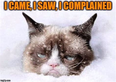 Grumpy cat snow - Imgflip