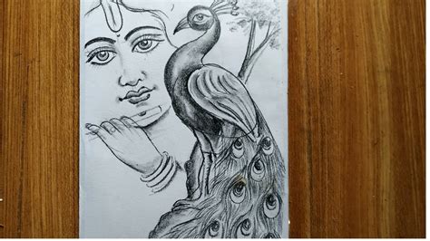 how to draw a peacock and lord krishna,easy peacock drawing by pencil,krishna thakur drawing ...