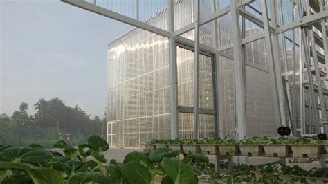 Singapore’s Vertical Farms | Amusing Planet