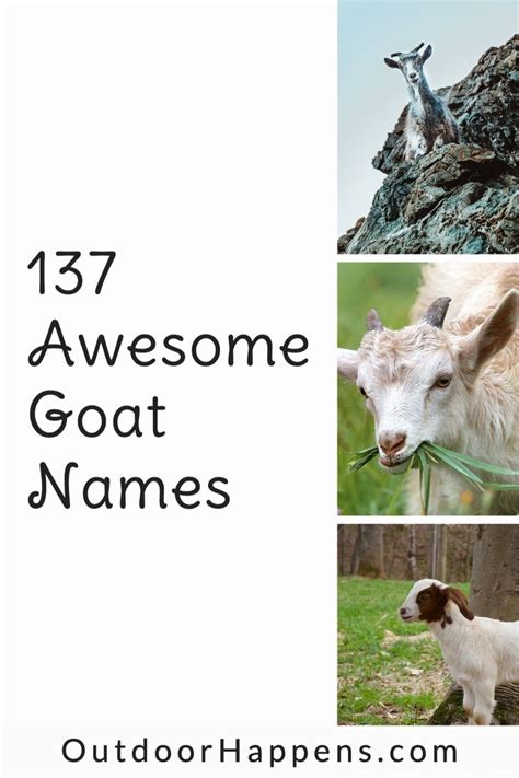 137 Cute and Funny Goat Names