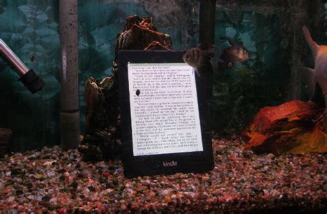 Waterproof Kindle Paperwhite Review – Kindle Goes Swimming with the ...