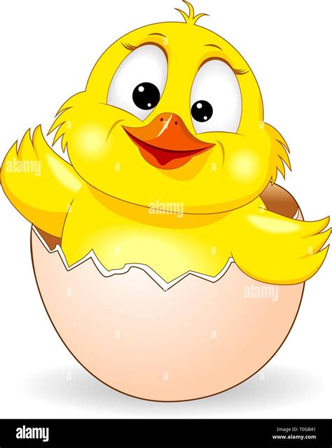 Little yellow chicken on white background. Cartoon chick peeking out of an eggshell Stock Vector ...