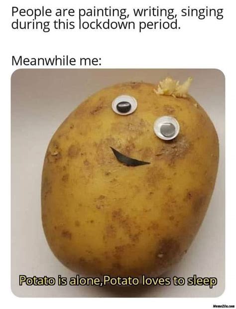 30 Potato Memes That Are Guaranteed To Make Your Day - SayingImages.com