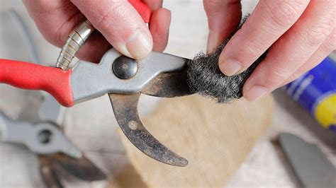 How to clean pruning shears: expert tips for pristine tools | Homes & Gardens