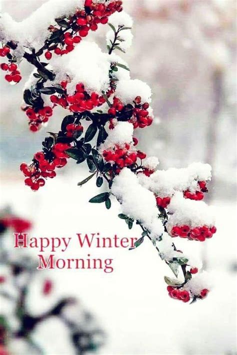 Happy Winter Morning Pictures, Photos, and Images for Facebook, Tumblr ...