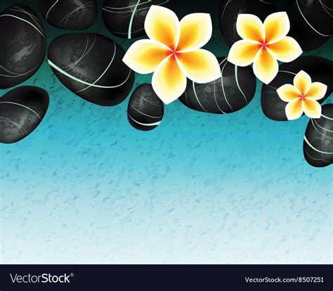 Spa background with hot stones and flowers Vector Image