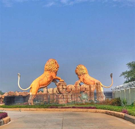 Epic Safari To Head Out In Etawah, Uttar Pradesh - travel karmas