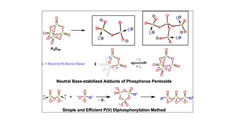 Stabilized Molecular Diphosphorus Pentoxide, P2O5L2 (L = N-Donor Base), in the Synthesis of ...