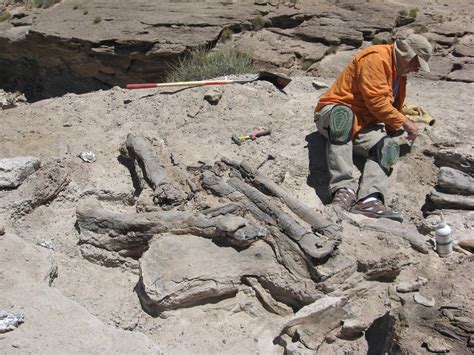 Dinosaur Dig: Field Geology and Paleontology - Summer 2017 - Highland ...