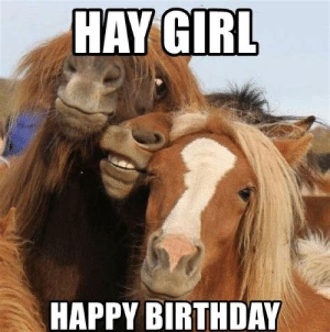 17 Best Happy Birthday Horse Meme