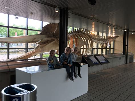 Een bezoek aan Museon in Den Haag en daarna uitwaaien in Scheveningen. - Avonturen Sparen