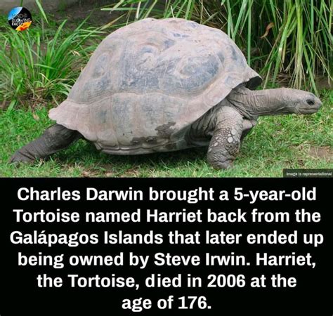 This tortoise lived with Charles Darwin and Steve Irwin. - 9GAG