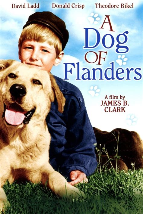 A Dog of Flanders | Rotten Tomatoes