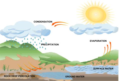 Fun Rain Facts for Kids (All You Need to Know!)