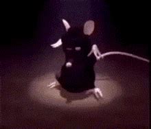 Dancing Rat GIF - Dancing rat - Discover & Share GIFs