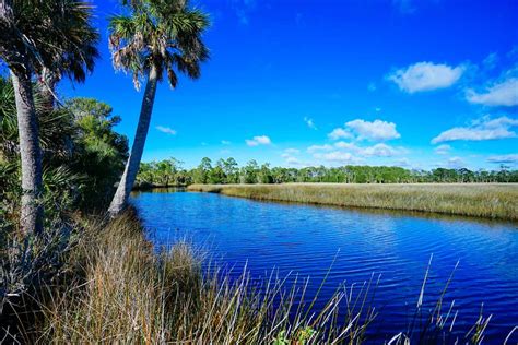 15 Best Things To Do in Spring Hill, FL You Shouldn't Miss - Florida Trippers