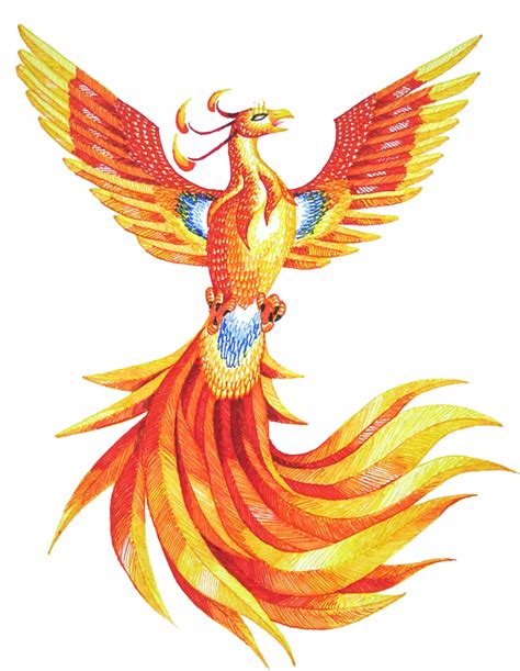 Phoenix PNG Images Transparent Background | PNG Play