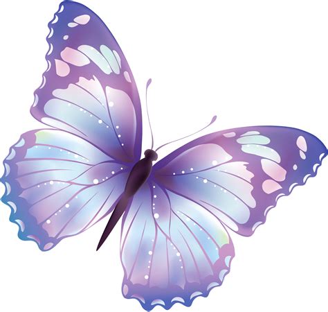 Butterfly PNG Transparent Images | PNG All