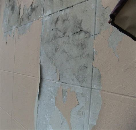 painting - How do I prepare this exterior concrete wall for paint? - Home Improvement Stack Exchange