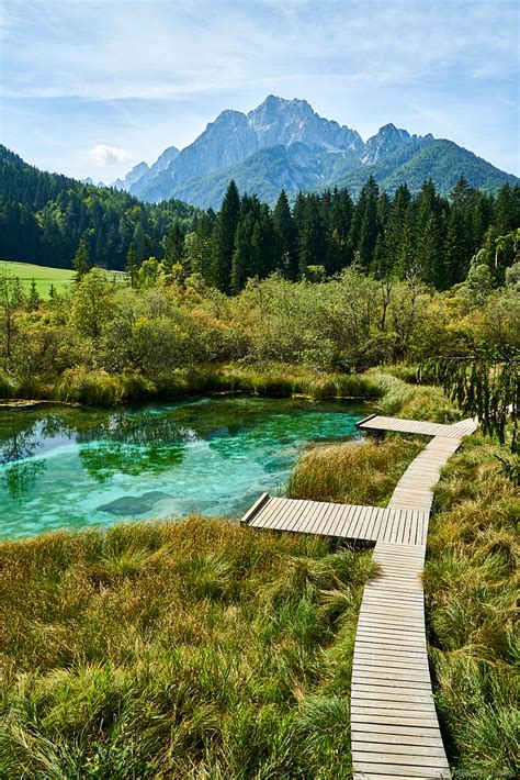 Zelenci Boardwalk | Zelenci Nature Reserve, Slovenia | Matt Pacholka ...