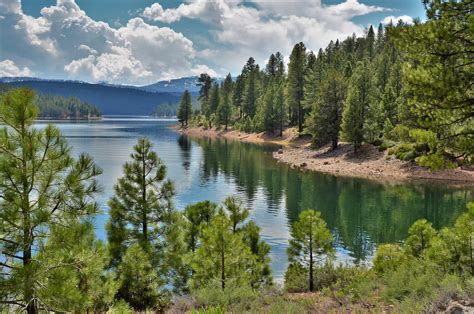 8 Tahoe National Forest Camping Spots to Experience the Sierra