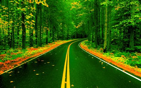 Forest Road Wallpaper - Background Images Road Nature (#348283) - HD ...