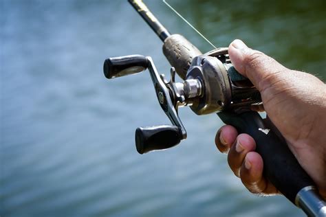 Types of Fishing Reels: The Complete Guide