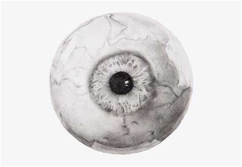 Eyeball - Drawing Skill