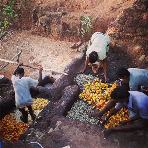 How Kaju Feni is Made, Process of Making Kaju Feni