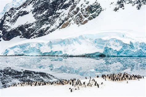 This winter, spend a summer in Antarctica on a cruise | Condé Nast ...