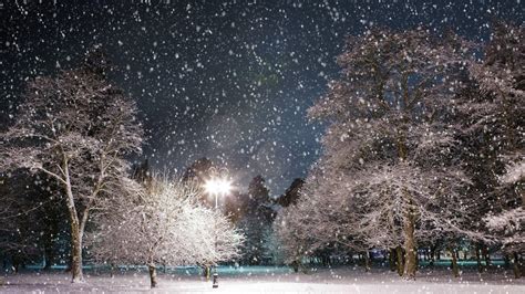 Bing Winter Wallpapers - Top Free Bing Winter Backgrounds - WallpaperAccess