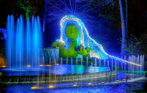 Atlanta Botanical Garden Christmas Lights 2021