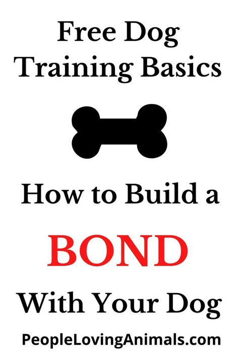 a sign that says, free dog training basics how to build a bond with ...