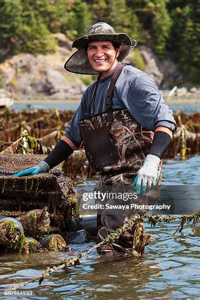 6,676 Shellfish Farming Stock Photos, High-Res Pictures, and Images ...