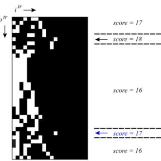 Data matrix given by a Monte Carlo simulation of the Rasch model ( a),... | Download Scientific ...