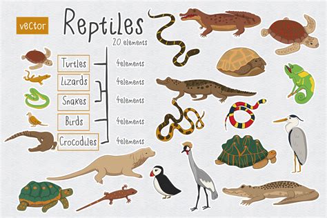 Reptiles