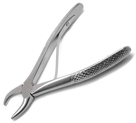 Best Dog Tartar Removal Tool, According To Vets