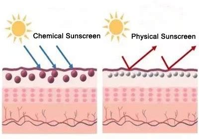 What is avobenzone powder？ - Knowledge - Xi'an Huilin Bio-Tech Co., Ltd