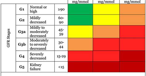 Glomerular Filtration Rate (GFR) | National Kidney Foundation | Kidney disease stages, National ...