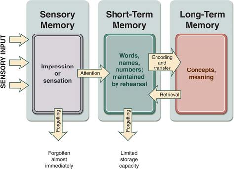 Log On to Constellation | Memory psychology, Developmental psychology, Memory words