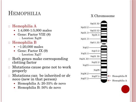 PPT - The role of genetics in the care of Hemophiliacs PowerPoint ...